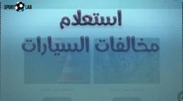 برقم السيارة.. طريقة سريعة للاستعلام عن المخالفات المرورية في مصر
